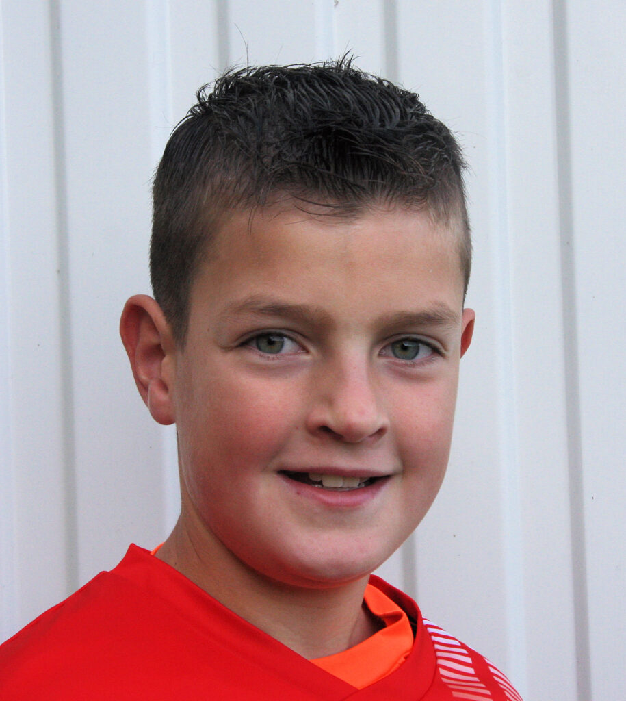 Wessel van Hemert